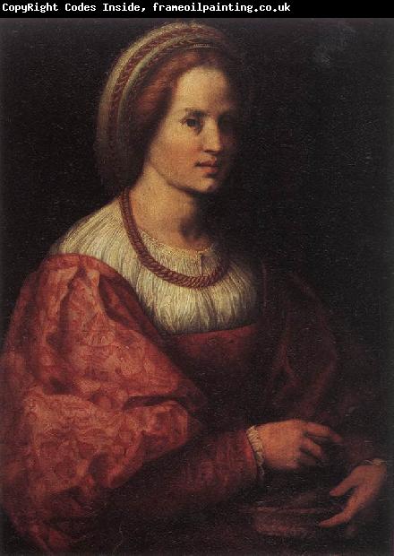 Andrea del Sarto Portrait of a Woman with a Basket of Spindles